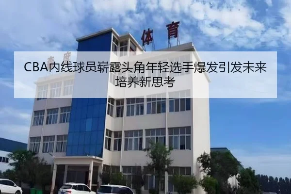 CBA内线球员崭露头角年轻选手爆发引发未来培养新思考